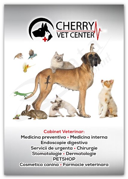 Cherry Vet Center - Cabinet veterinar